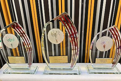 Pokale für die 3 gewinnenden Teams